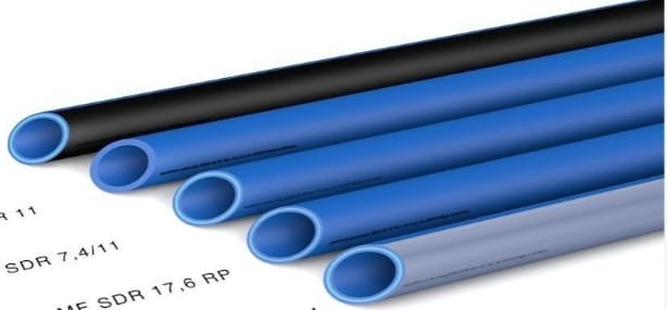 WhatsApp Image 2026-01-22 at 11.12.43 AM